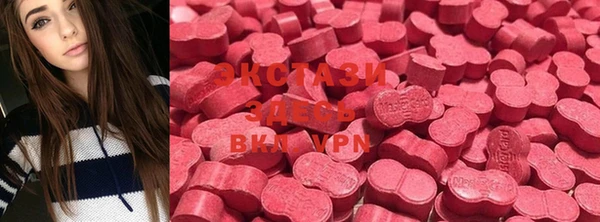 тгк Новодвинск