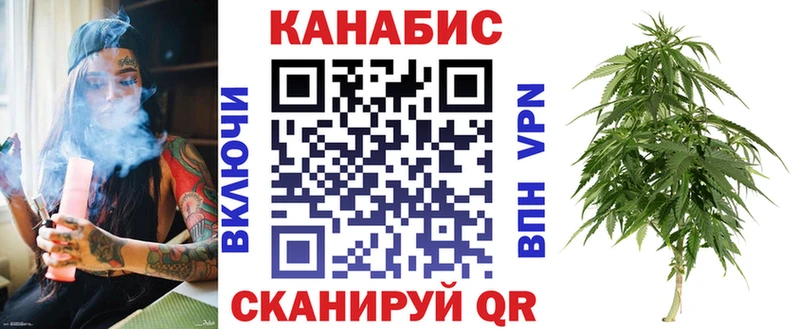 цены наркотик  Кологрив  Шишки марихуана сатива 